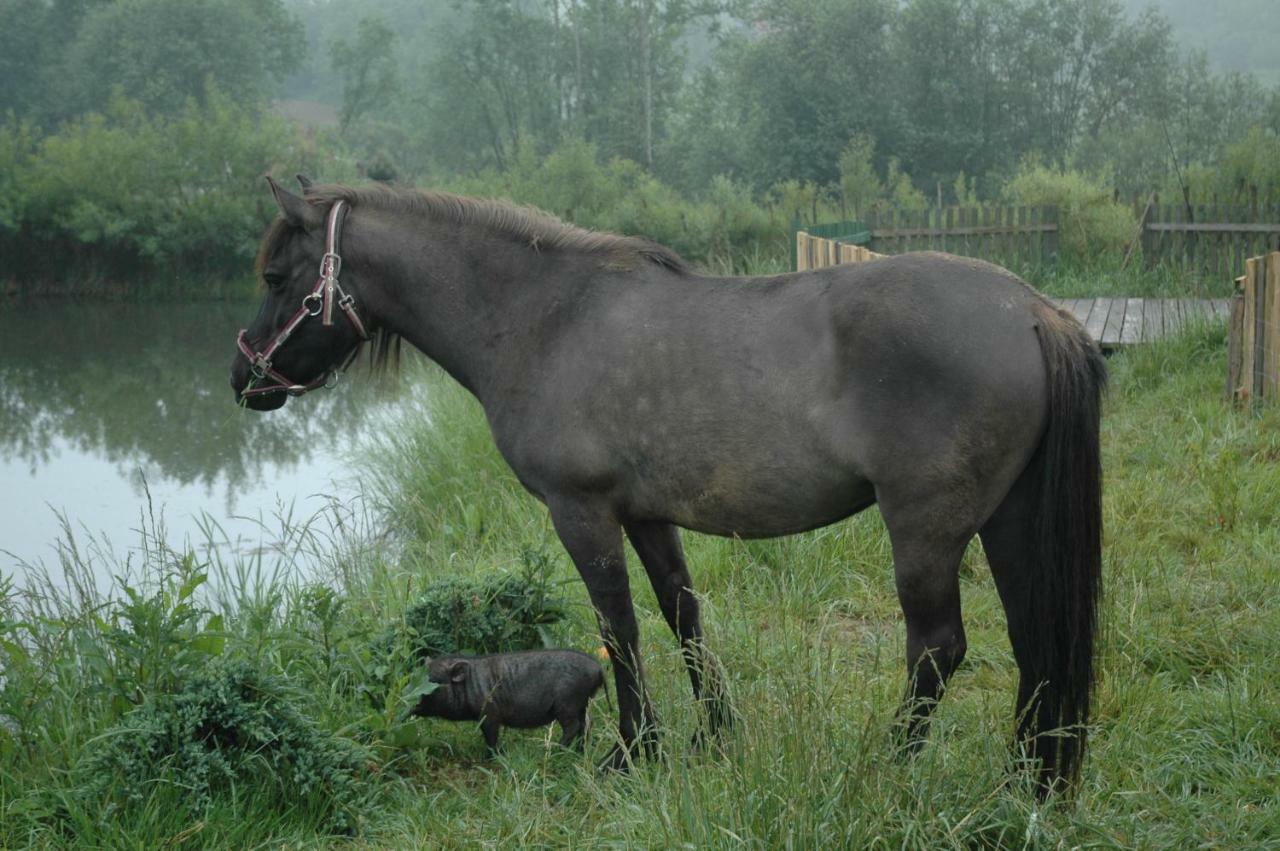 Wodne Ogrody Dobczyce Exterior foto